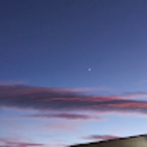 Meet your Posher, Brookie